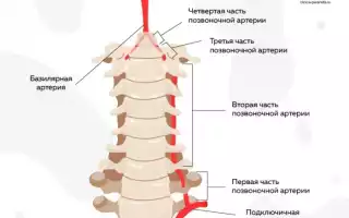 Артроз шейного отдела позвоночника: причины и лечение