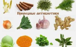 Лечение без таблеток — природные антибиотики и иммуномодуляторы