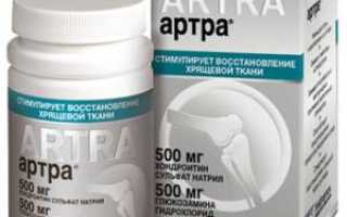 Инструкция по применению препарата Артра