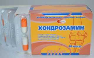 Инструкция по применению препарата Хондрозамин