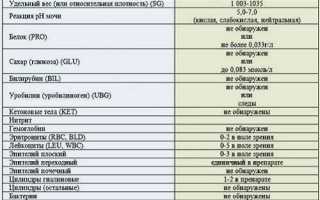 Анализы мочи во время беременности