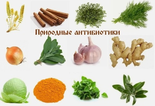 antibiot2
