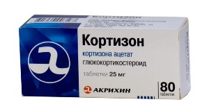 kortizon2