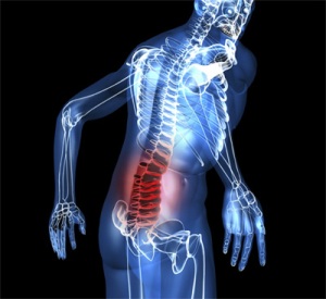 lumbalg2