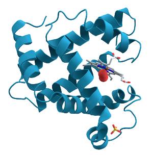 rabdomiol
