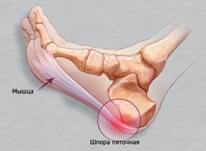 shpora-pyatochnaya