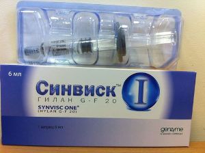 sinvisk